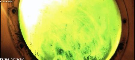 透视空间站科研背后的太空探索逻辑
